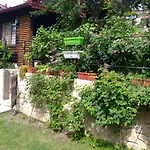 The Sarajevo