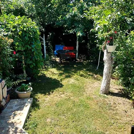 The Apartament