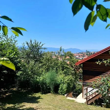 The Apartament