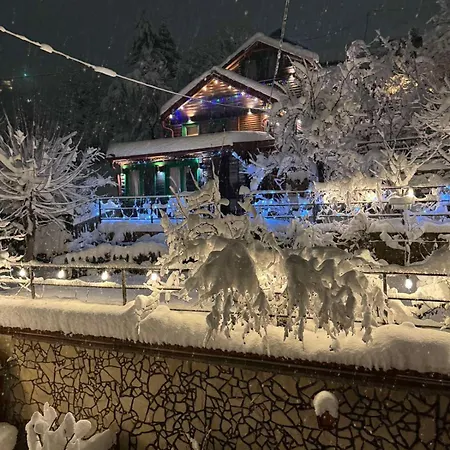 The * Sarajevo