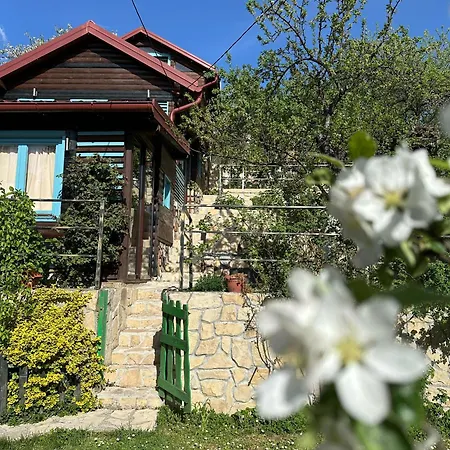 The Apartmán *